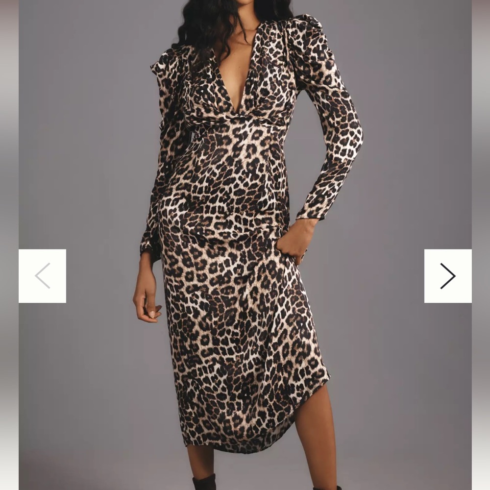 NWOT Farm Rio leopard print dress